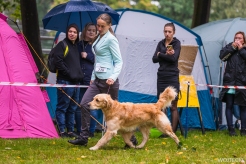 0ee6cbfeeff6034182730a8b6b1de3d9_246