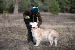 0eeeaff09089e559824db6238319b77e_246