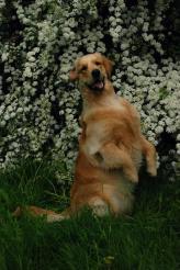 0f109ea7423a045e0b9197e58a8e36f6_164x246