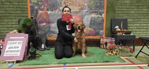 0f166f1e677eb6891a780d8f872f66d0_294