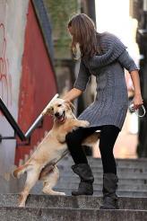 0f22d375da0f15f4bd70a206818b4b5d_164x246_fill