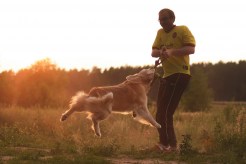 0f7472b91491f984c5afe66ec05f538b_246