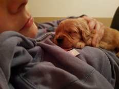 0feb85ac765c3fcfc293733b8f943e4d_232x174_fill