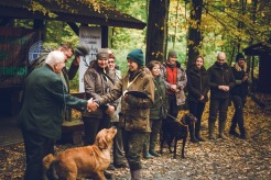 0ffaa8f1bbcd9eb9fedabf70f487cc92_246