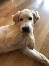 1096fd8e49f6ba32bda48888c09b4bd5_174x232_fill