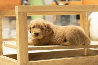 10e49e724133a8560f496c894a5a3d66_195x130_fill