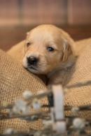 10f73ad2b46b78343e4e13117d39d138_130x195_fill