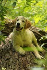 10fb2380c4fd0c250b418aa043d3f281_164x246_fill