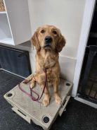 111dd33798a0bb8d8c8cc07eeb22da51_138x184_fill