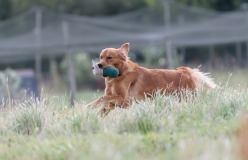 115376704aaeba111ded4e0ba07263bc_248