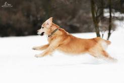 1176603b4d5104c0bafa30217f159c93_246