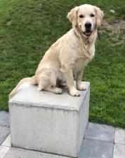 117b352f9bdb7696179b75d6f95c9e8f_178x225