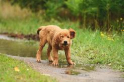 1182a8e1a9b2f2e5ae7f124bfb11e1a5_246