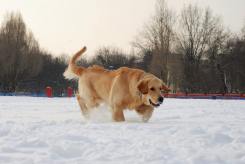 118db27bd1f63d3c5306461e85b29c2b_245