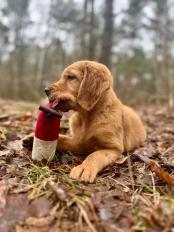 11982098f6355dd69ada272be8dcafd8_174x232