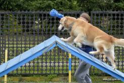 11d93c943ff59f34aecfb1ccc54f19fe_245