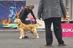 11f93ab8df0a862b1253d338811aaa24_246x164_fill