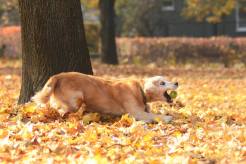 11fc5fab8b13c7182a420e74761aecce_246