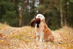 1210471bc687d2a3f20a63b2edd466c9_245