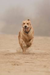 121ab9b7560a59c5cdd9f1d4422ded4d_164x246_fill