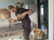 1246d94966acb9c61c320155ea5becf1_184x138_fill