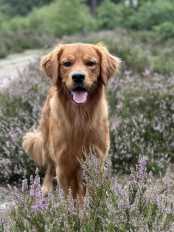 124797b58a8f9cc07263af76a123535c_174x232_fill