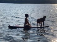 12524275c6a9678b5d5d1aab818c6768_184x138_fill