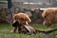 1287c287c22a1c9d85e469b21e227d56_195x130_fill