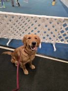 12944a6c4ef57157435d0096ab9361ef_138x184_fill