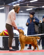 1296f6547a1e833ceed516f039cd8e07_144x180