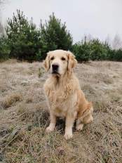 129869e40f19710ac021b105fbd3e1db_174x232_fill