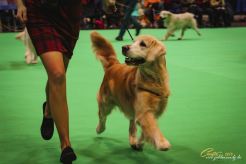 12c3ed5570a66d569385a801d13247be_246