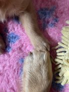 12cbab9bf652a0910bef7e31a6ff590c_138x184_fill