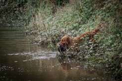 12e30f16d201f3e2316cfb72dfb70e25_246