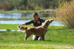 12e389f2b4edc23fa5e811e35867f49e_245