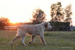 12f395d75803f38726d9e0bf31b966a6_246x164_fill