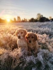 12f71ef4ff8d22966885cb90e59bbf7e_174x232_fill