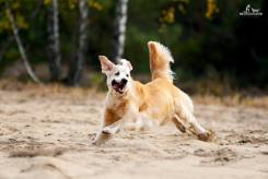 13697c4a5f982d526f18eb4373b2d634_245