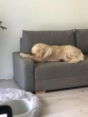 13771af4008080456f16120b17dfc0ce_174x232_fill