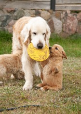 13b1c09285281722a696efc866d7a132_168x235