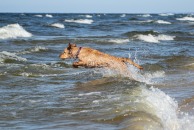 13c6ce7d0b9286772034bf2e51f4c797_194