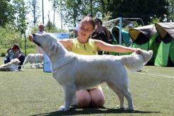 13c8b10d121185227690200647bd963e_246x164_fill