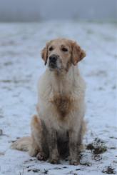 13c9e70823151a33f8a4dfbff79a395f_164x245