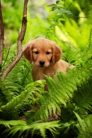 13f73083f250b898fd99b52a96f64a61_130x195