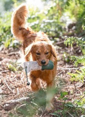 146a6c3f3809481d73d3c785f3a0cbfe_170x233