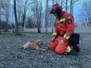 148209d1c2806fbea03a4dd1e9eb0020_184x138_fill