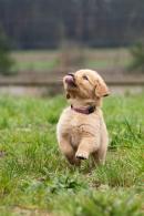 14851ddafdfbeaeacc8cb6204c0177de_130x195