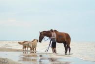 14e116406958d74938a3f997b2757f67_194