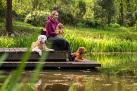 1517d505aa3942df78ea7af87e701dc0_195