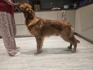 1561d702893a5aa58d5debe5e6795d3f_184x138_fill